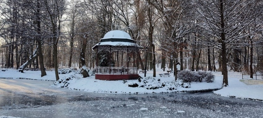 Park Miejski zimą