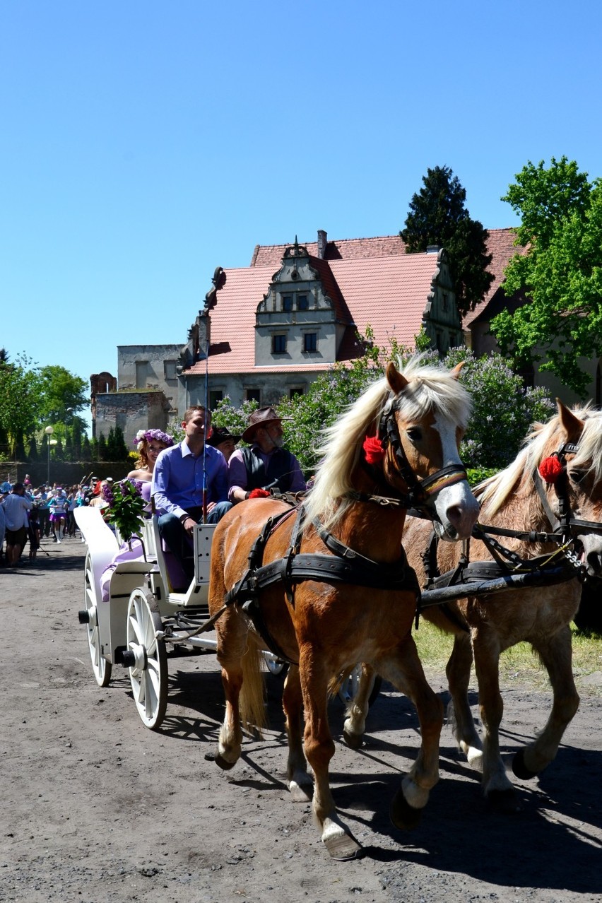 Zobacz również:
Święto Bzów 2018 w Bytomiu Odrzańskim...