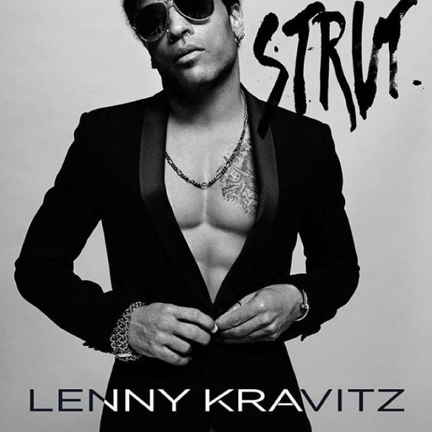 W 2015 roku w Ergo Arenie zagra też Lenny Kravitz.