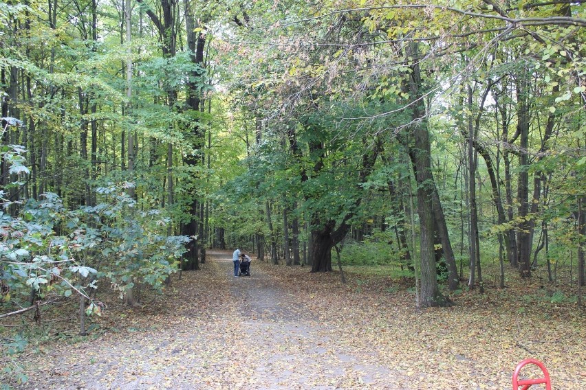 Park Repecki w Tarnowskich Górach zachwyca jesienną porą....