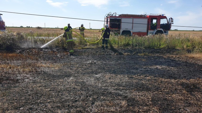 Pleszew. Strażacy walczyli z ogniem. Pożar za pożarem. Płonęły pola w powiecie pleszewskim 