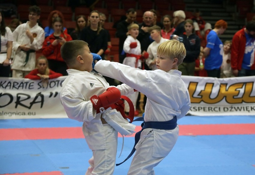 Puchar Polski w Karate Sportowym - Legnica Open 2023, zobaczcie zdjęcia
