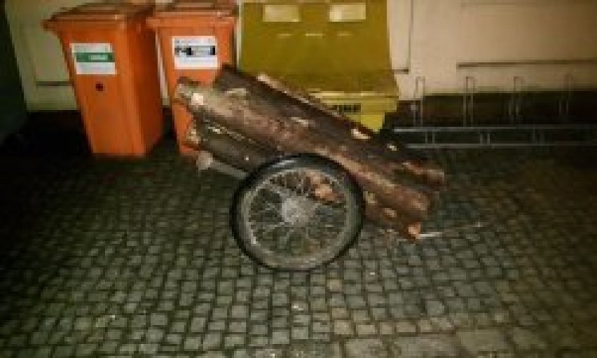 Kradzież drewna świerkowego w Wejherowie