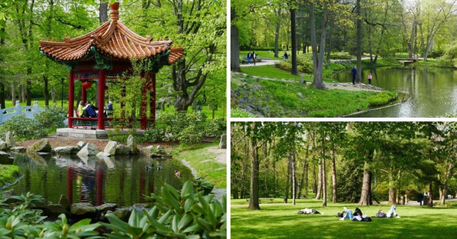 Najpiękniejszy park w Warszawie w pełnym rozkwicie.