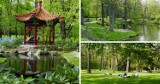 Łazienki Królewskie wczesną wiosną. Najpiękniejszy park w Warszawie w pełnym rozkwicie