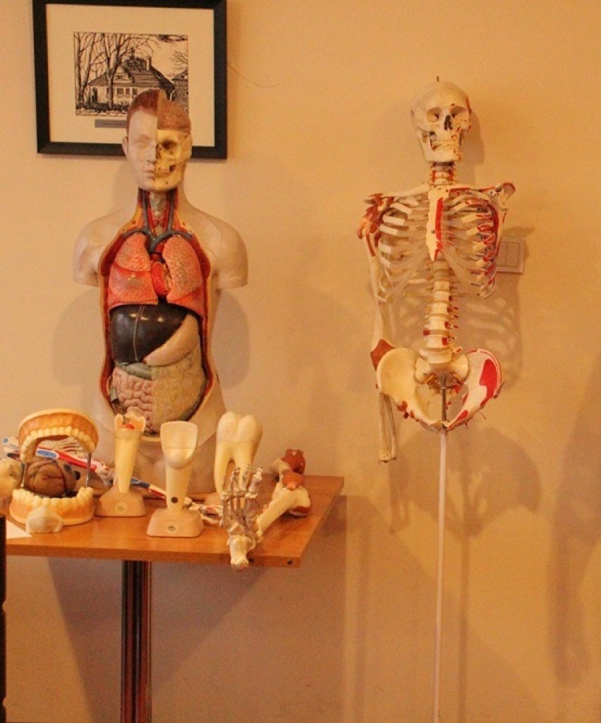 "Anatomia małego człowieka" - spotkanie dla dzieci na temat...
