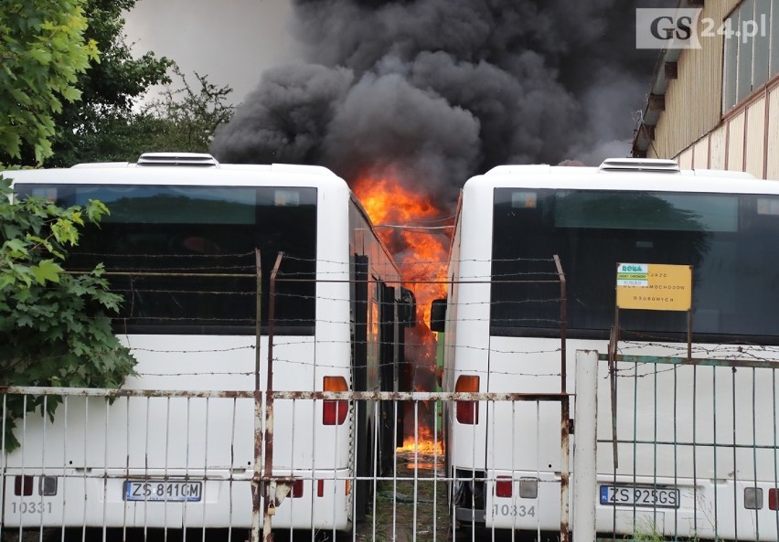 Bilans pożaru w bazie PKS w Szczecinie. Ile spłonęło autobusów? Będą problemy w komunikacji miejskiej? [ZDJĘCIA, WIDEO] 