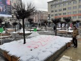 Stop rzezi dzików. Będzie demonstracja na rynku w Katowicach ZDJĘCIA