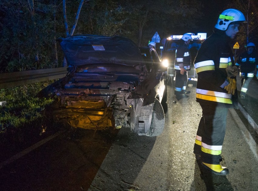 Brawurowa jazda 19-latka. Samochód wypadł z drogi krajowej nr 28 w Krasiczynie koło Przemyśla [ZDJĘCIA]
