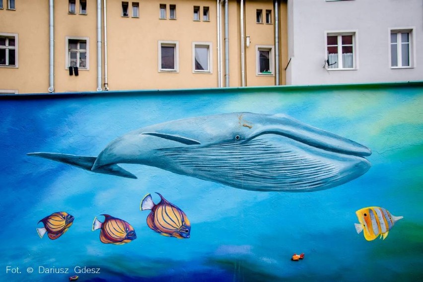 Wałbrzych: Zakątek murali przy ulicy Aptekarskiej [ZDJĘCIA]