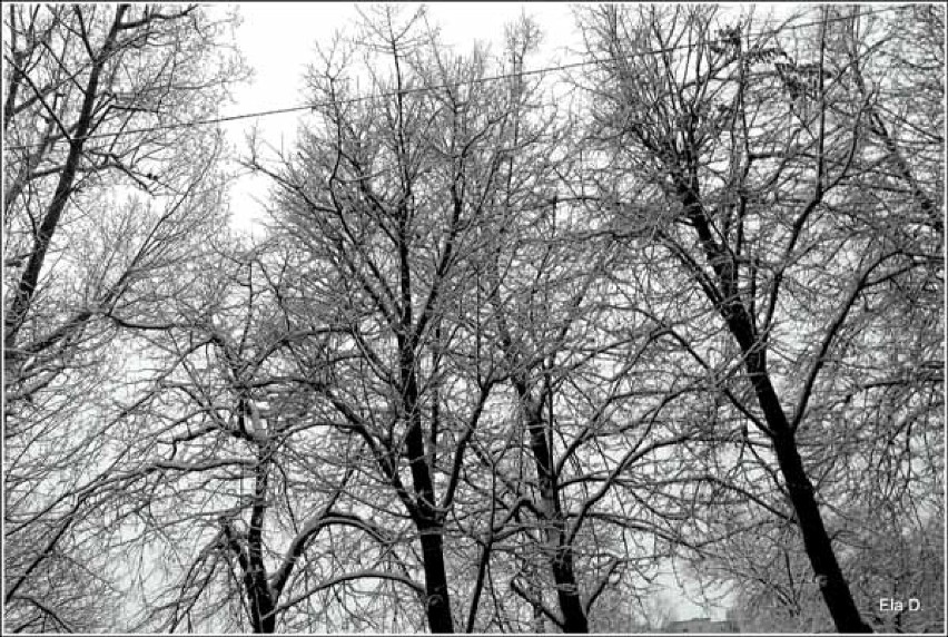 Opole otulone śniegiem