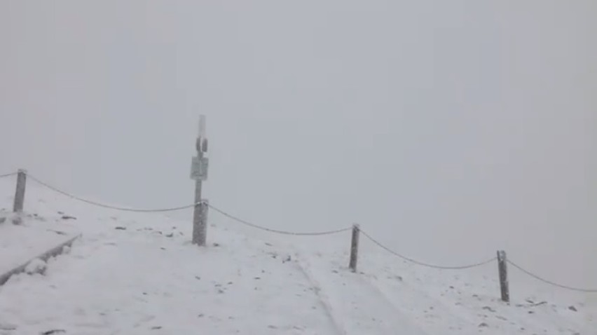 Zimno! Coraz zimniej! Na Śnieżce sypie śnieg! [WIDEO]