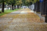 Lublin. Liście na chodnikach i ścieżkach rowerowych stwarzają zagrożenie. - Zostaną posprzątane w najbliższym czasie - zapewnia ratusz