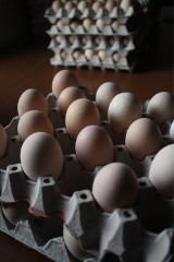 Zakaz handlu jajami na targowiskach Zgierza z powodu ptasiej grypy