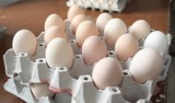Uwaga na skażone jajka! Wydano ostrzeżenie dla konsumentów