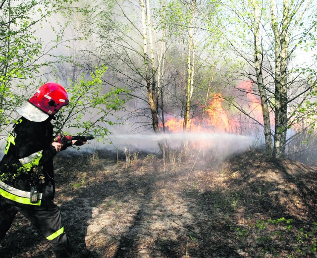 Dziś w lasach mamy 2. stopień zagrożenia pożarowego