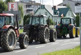 Rolnicy protestowali w Wieluniu przeciwko "piątce dla zwierząt" ZDJĘCIA, FILMY