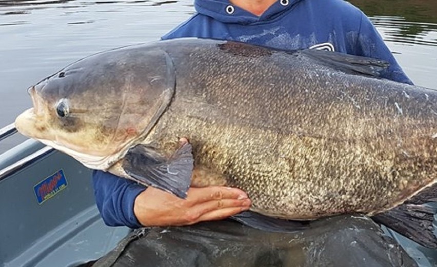 Czy panowie Filip i Adam, wypływając w poniedziałek, 12...