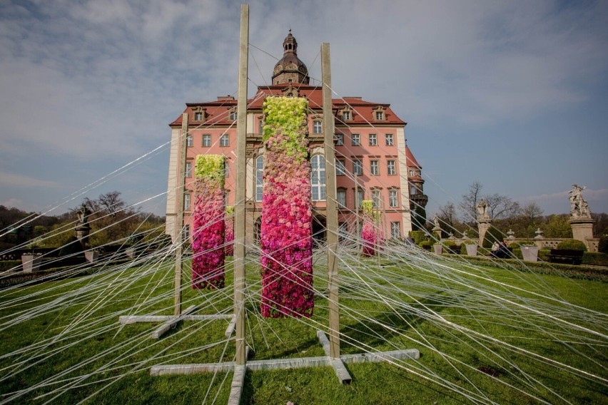 Na coroczny Festiwal Kwiatów w Wałbrzychu, co roku zjeżdżają...