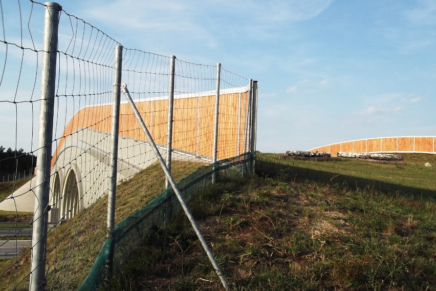 Zbąszyń. Przejście dla zwierząt. Autostrada A2. [ZDJĘCIA]