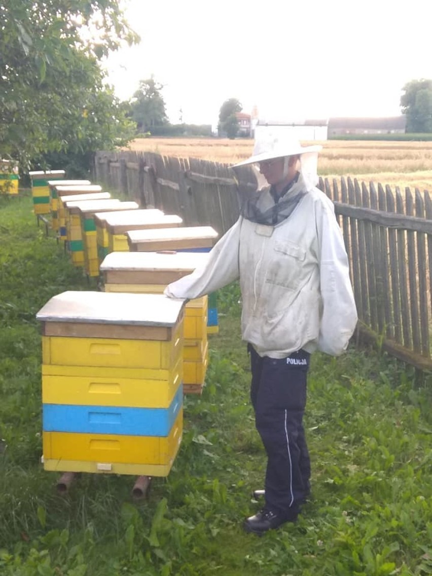 Policja z Wągrowca bada co było przyczyną śmierci pszczół