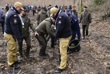 Posadzono tysiąc młodych sosen w Nadleśnictwie Kaczory. Będzie czym oddychać 