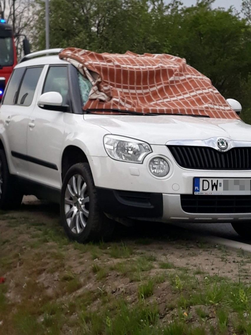 Groźny wypadek we Wrocławiu. Sarna wpadła do auta przez przednią szybę! Zobacz zdjęcia