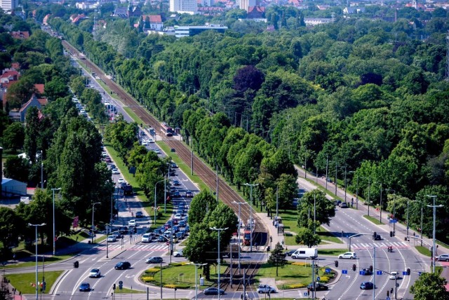 Śledczy nie dopatrzyli się w przeprowadzonej przez Zarząd Dróg i Zieleni wycince znamion czynu zabronionego, postępowanie zostało umorzone. Teraz w Alei Lipowej trwają badania, by przywrócić dawny jej kształt .