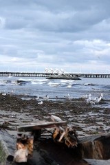 Sopockie molo ledwo przetrwało sztorm na Bałtyku