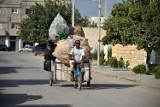 Tunezyjscy handlarze czyli wszystkie chwyty dozwolone