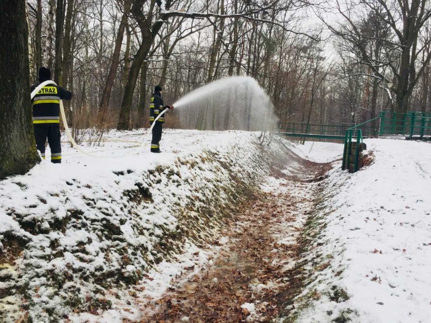 Reaktywacja toru saneczkowego w Parku Kościuszki