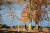 Kartuzy i powiat kartuski piękne również jesienią. I to nie tylko podczas słonecznej pogody