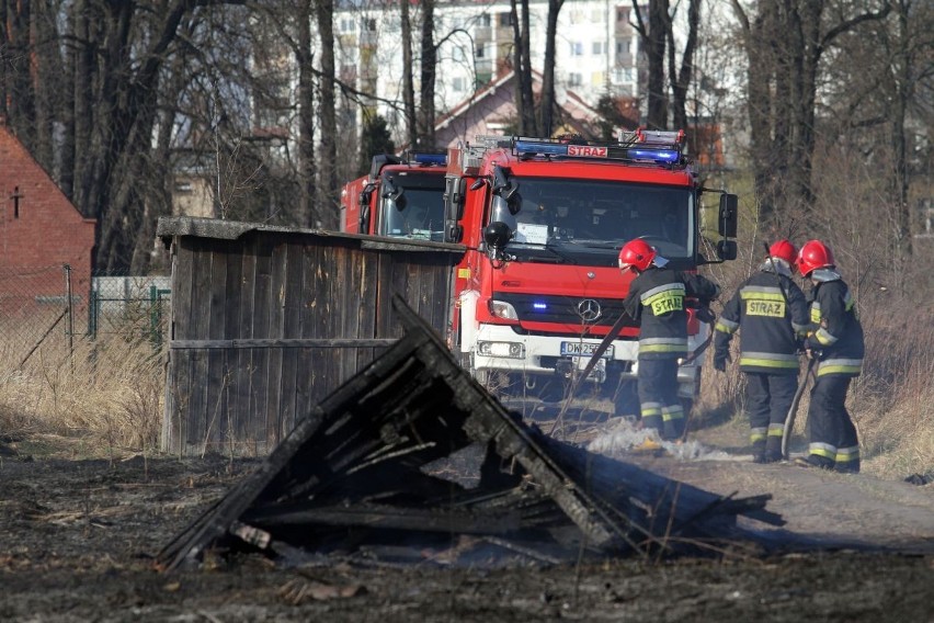 Trwa seria pożarów traw (ZDJĘCIA)