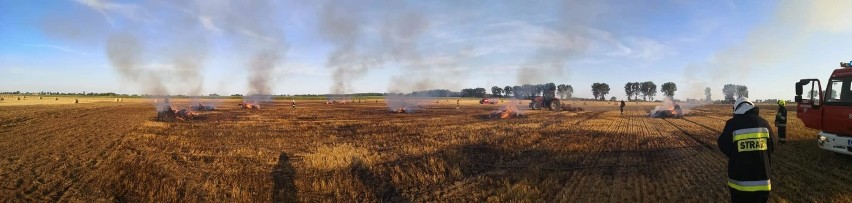 Straż pożarna otrzymała zgłoszenie o pożarze 10 hektarów pola pod Mieściskiem