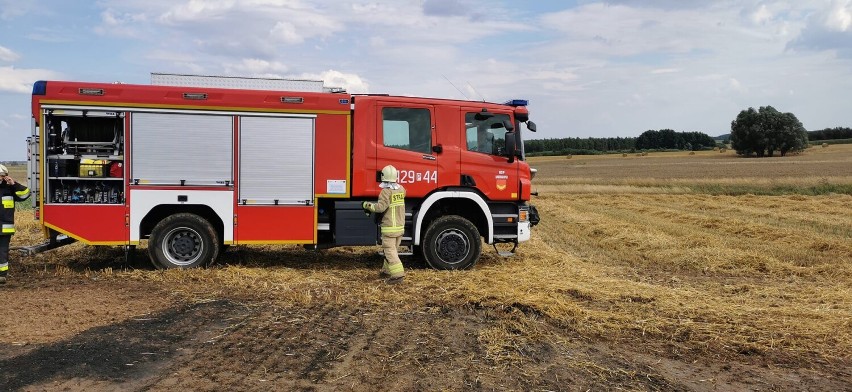 Kolejne pożary pól w powiecie gnieźnieńskim. Interweniowały...