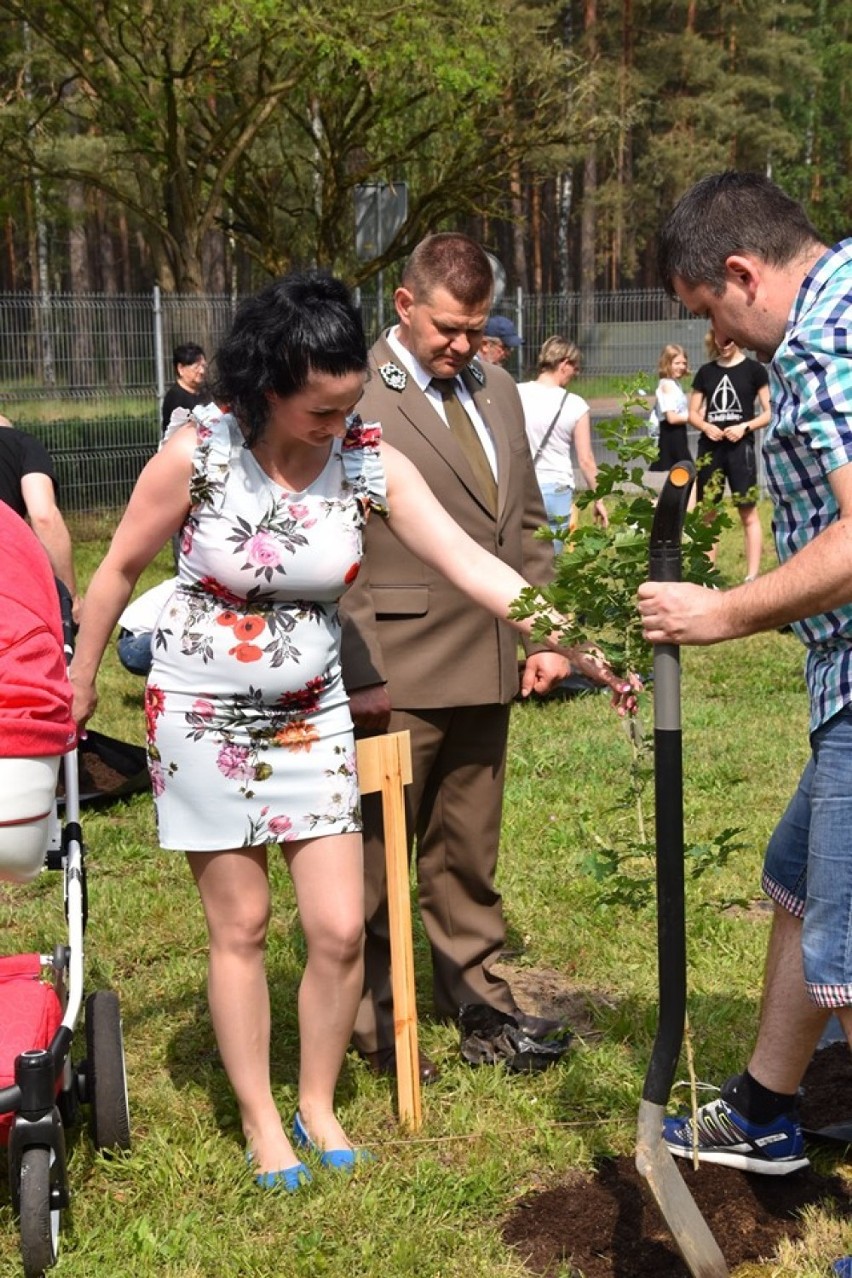 Posadzono 33 drzewa. Każde nosi imię dziecka!