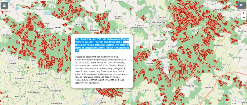 Lasy koło Oleśnicy przeznaczone do wycinki. Powstała szczegółowa mapa (ZDJĘCIA)