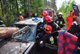 Ćwiczyli jak walczyć z pożarami w lesie i usuwać skutki miejscowych zagrożeń (FOTO)