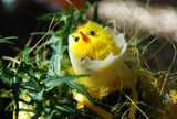 Jaka jest symbolika Świąt Wielkanocnych?