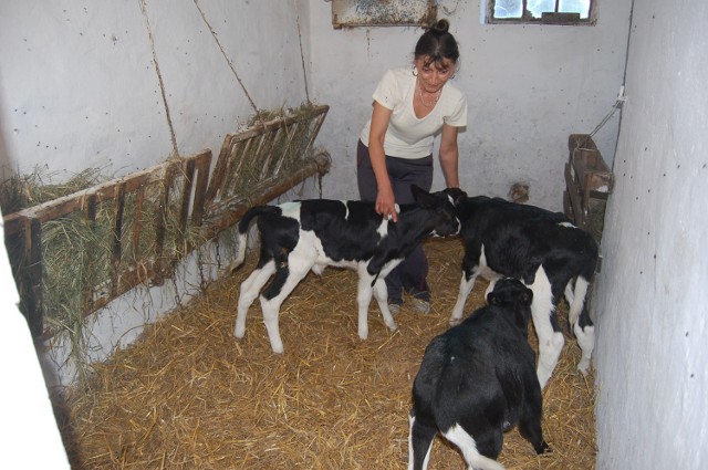 Krystyna Struzik i trojaczki o imionach Kawka