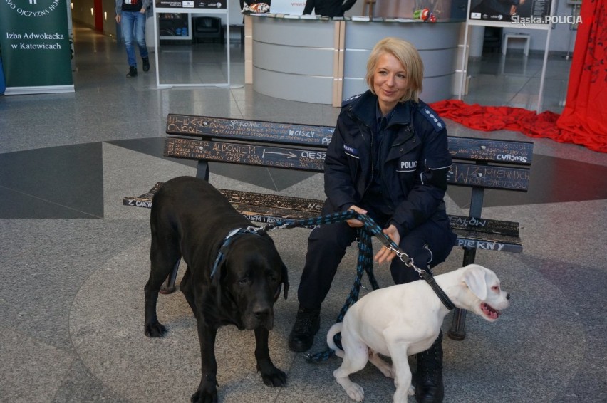 Rzecznik policji w Żorach inicjatorką akcji zbiórki karmy dla zwierząt - zebrano aż 200 kg!