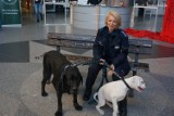 Rzecznik policji w Żorach inicjatorką akcji zbiórki karmy dla zwierząt - zebrano aż 200 kg!