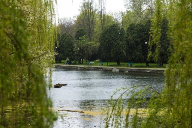 Jak spacer i odpoczynek pośród terenów zielonych na Żoliborzu to koniecznie Park Fosa i Stoki Cytadeli!

Miejsce jest projektu Zygmunta Stępinskiego, Kazimierza Marczewskiego i Krystyny Onitzchowej. Park powstał w miejscu, gdzie dawnej była strzelnicy i miejsce ćwiczeń żołnierzy stacjonującego w Cytadeli 21 Pułku Piechoty "Dzieci Warszawy".

To niezwykle klimatyczne miejsce znajduje się między ulicami: Wybrzeże Gdyńskie, Kaniowskiej i Krajewskiego.