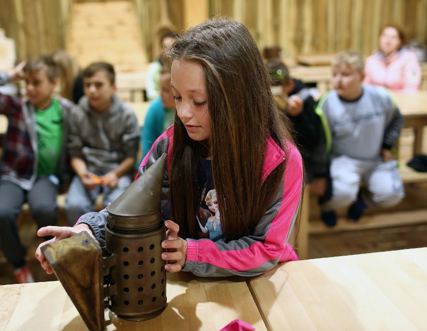 Łódzki Dom Kultury świętuje 5 finał Kolorowej Lokomotywy