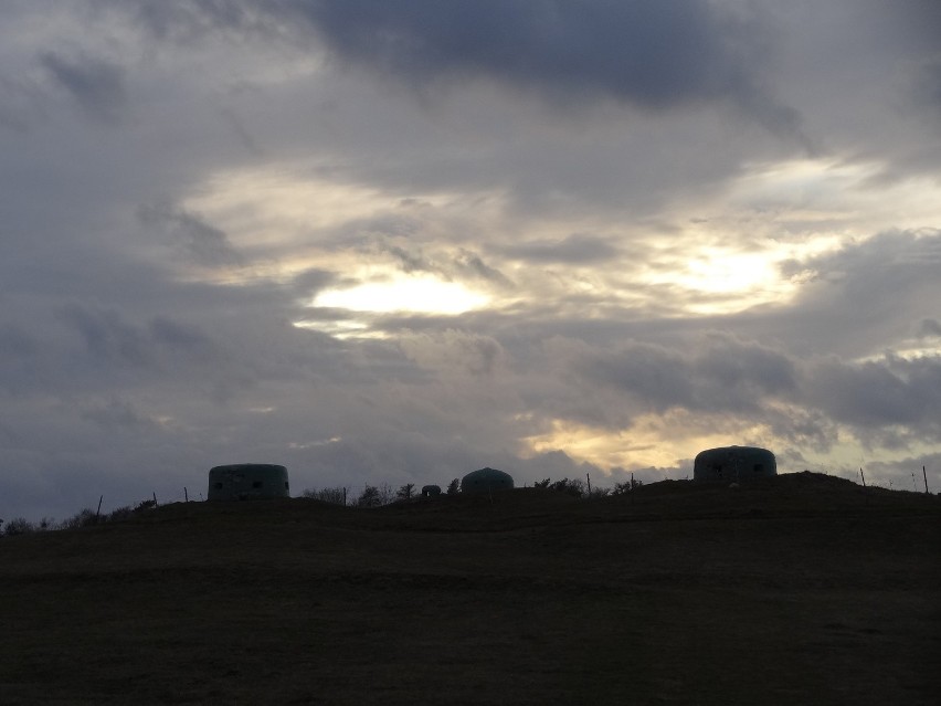 Teren w okolicach wsi Pniewo w gminie Międzyrzecz, w tym...