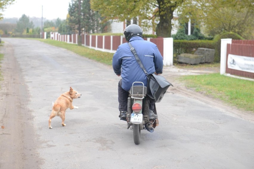 Czy listonosz może zostawić awizo, bez sprawdzania czy ktoś...