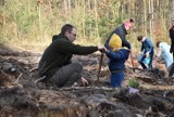 Nowy las już rośnie. Posadziły go "dębusiowe" przedszkolaki i ich rodzice