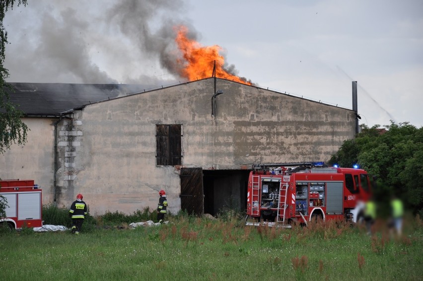 Pożar budynku gospodarczego w Niesłabinie. Na miejscu straż...