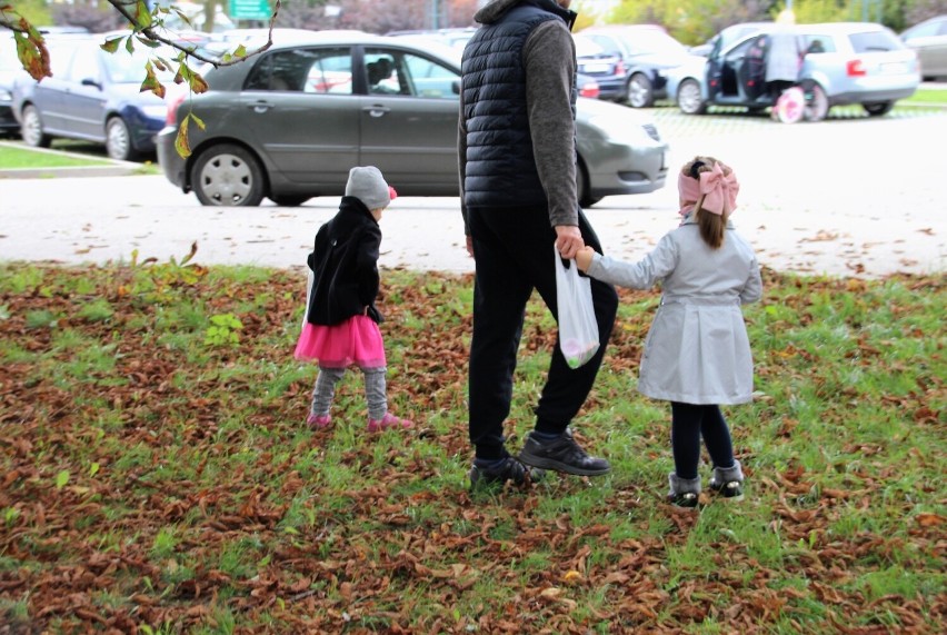 „O, jak srebrzą się w słońcu”. Babie lato i jesienne przemiany w zamojskim Parku Miejskim