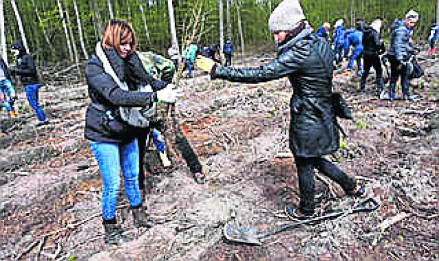 Licznik Klubu Gaja bije. Jest na #nim już blisko 790 tysięcy drzew